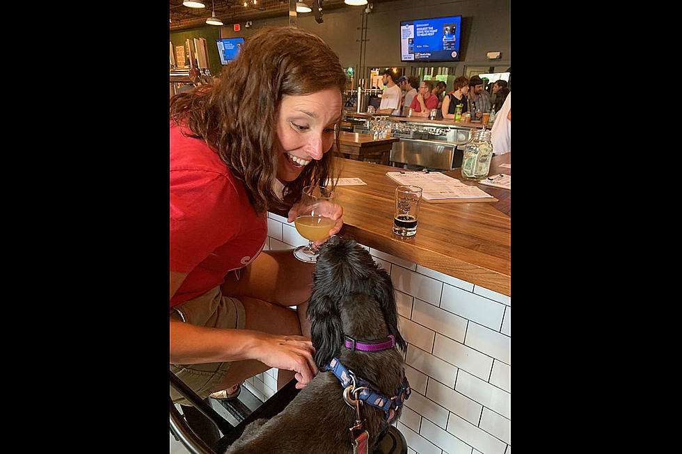 Dog Friendly Patios and Hangouts