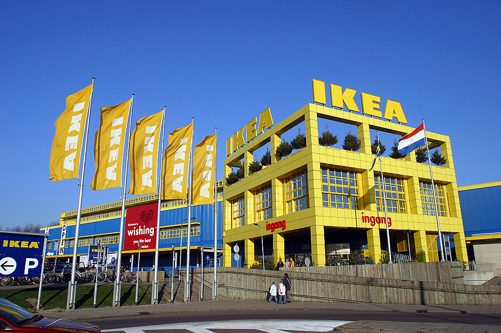 What Is IKEA’s Plan For All Of The East Texas Forest They Bought?