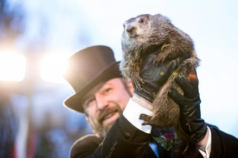 5 Better Choices to Predict Shreveport’s Weather Than Groundhog