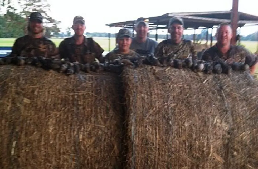 Let the Fun Begin! Dove Hunting Season Is Only a Week Away!