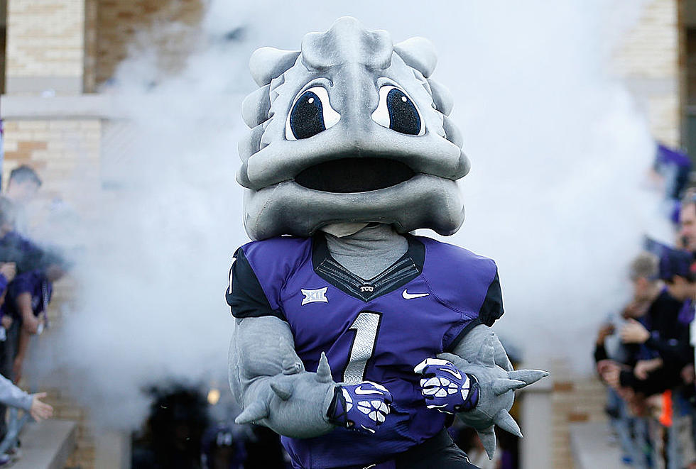 Are These the Top 5 Most Ridiculous College Mascots of all Time?