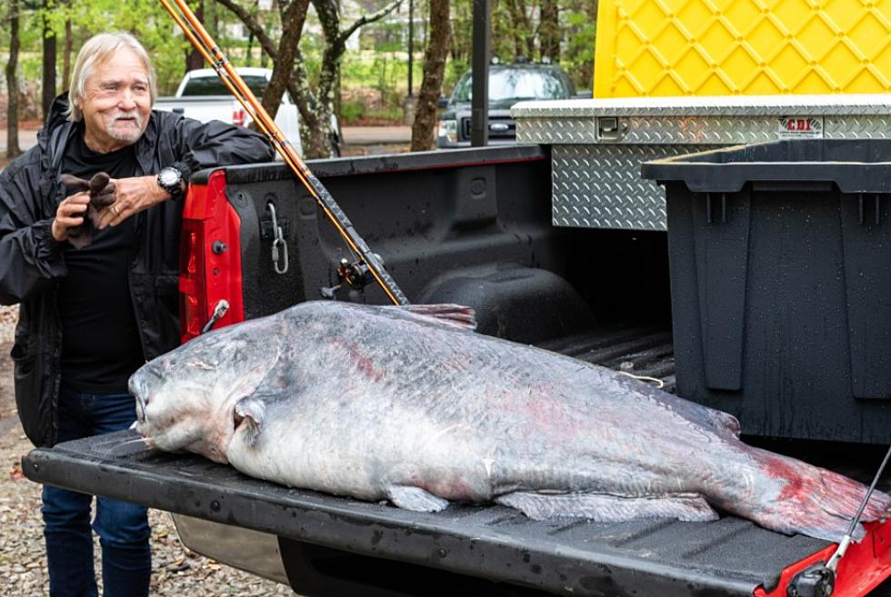 Lucky Angler Catches Behemoth Catfish Shattering Old State Record