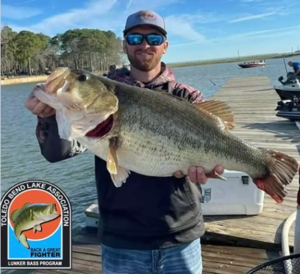 Saturday Was One For MLF Record Book on Toledo Bend