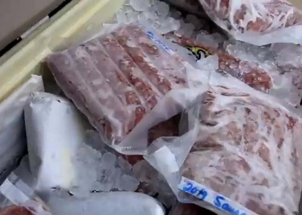Louisiana Hunters It’s Almost Time To Clean Out Your Freezer