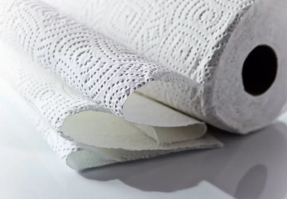 Kitchen Hack Has Louisiana Keeping Paper Towels in Fridge