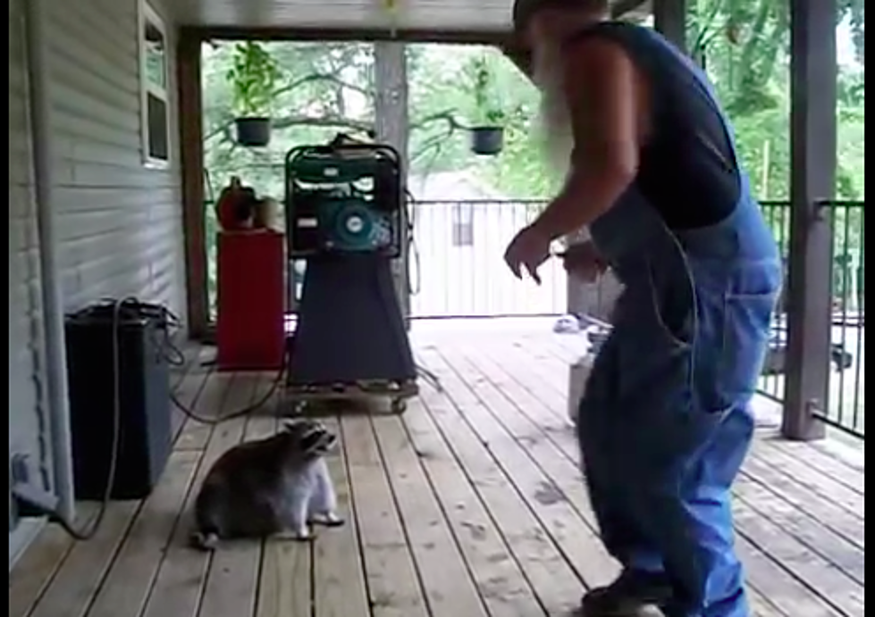 ‘The Hillbilly Slide’ — Just a Guy and His Fat Raccoon [VIDEO]