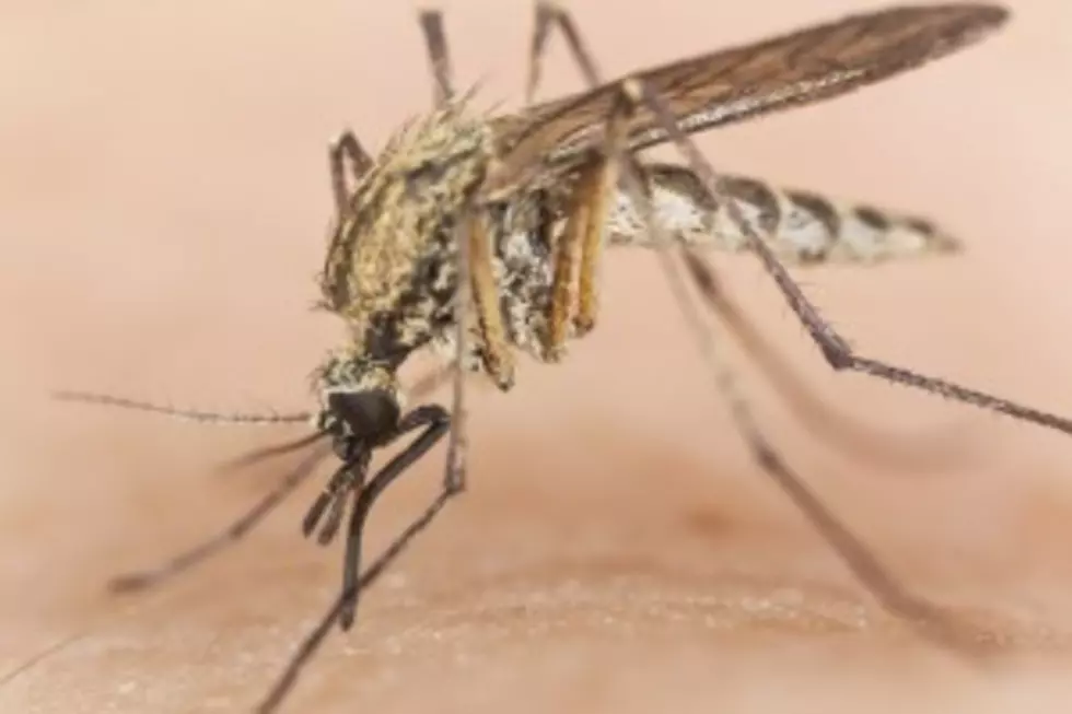 There May Be A Reason Why Mosquitoes Target You And Not Others