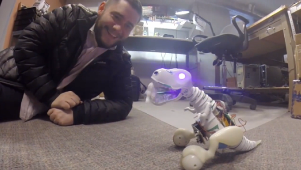 Check Out Boomer, the Latest Robotic Toy [VIDEO]