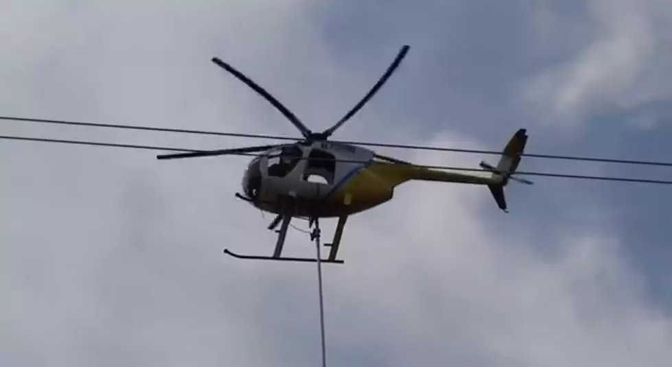 Trimming Trees With a Helicopter [VIDEO]