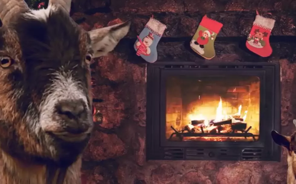 Goats Singing Christmas Carols? Yup. From Our Friends in Sweden.