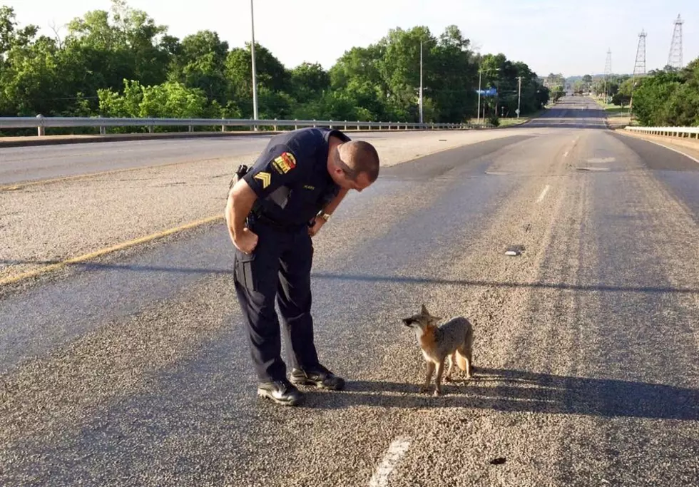 Kilgore Police Interaction with Fox Going Viral