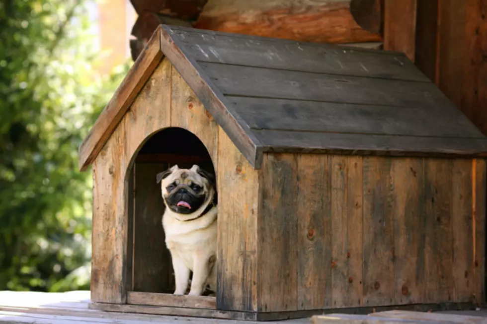 Longview PAWS Auctioning Custom Built Doghouses Saturday