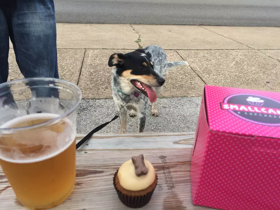 Help Your Pups Make Friends While You Drink Beer at This East Texas Brewery