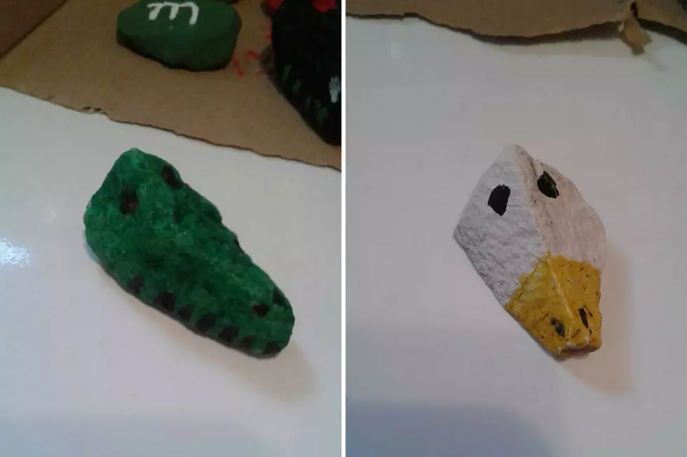 If You Found These Rocks in Whitehouse, Please Consider Giving Them Back