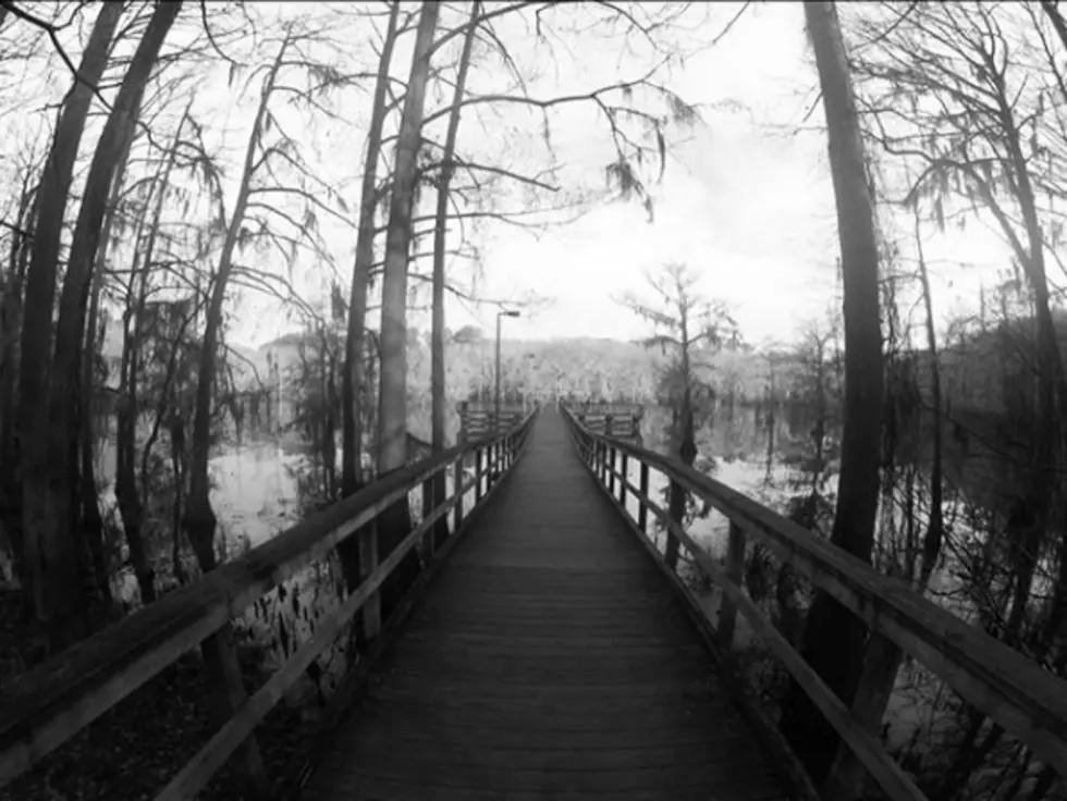 Caddo Lake State Park One of the Most Mysterious