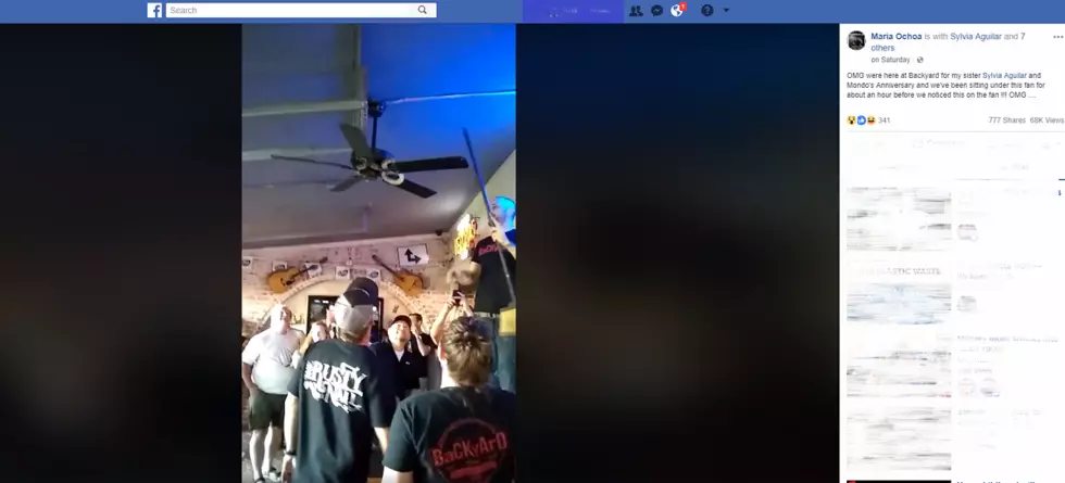 Snake(s) On a…Ceiling Fan? TX Customer’s Snake Encounter Goes Viral