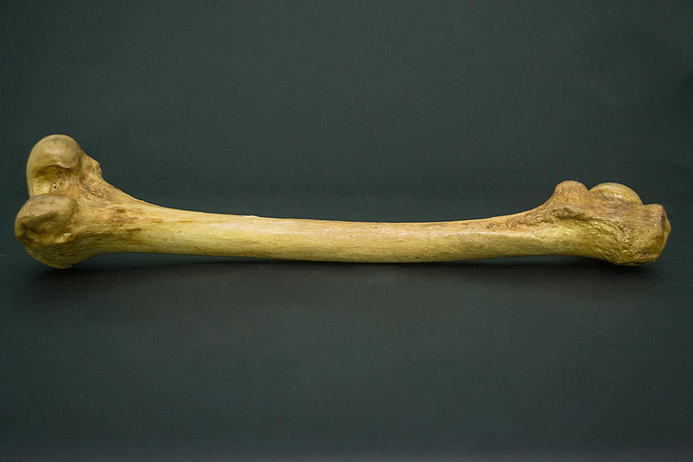 Human Bone from the 1200 to 1300's Found in Texas