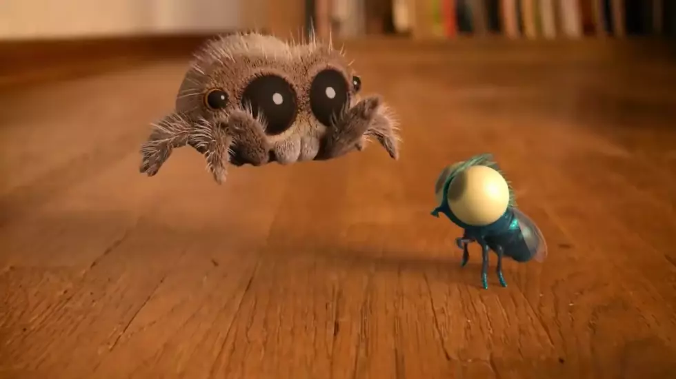 If You’re Not Following Lucas The Spider on Youtube, You Should