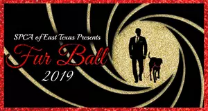 SPCA Of East Texas Hosts &#8216;Bond &#038; Bones&#8217; Fur Ball This NYE