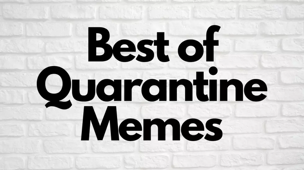 Best Of Quarantine Memes Vol II