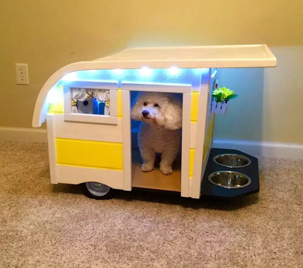 Your Dog Can Have Their Own ‘Winnebarko’, And I’m Here For It