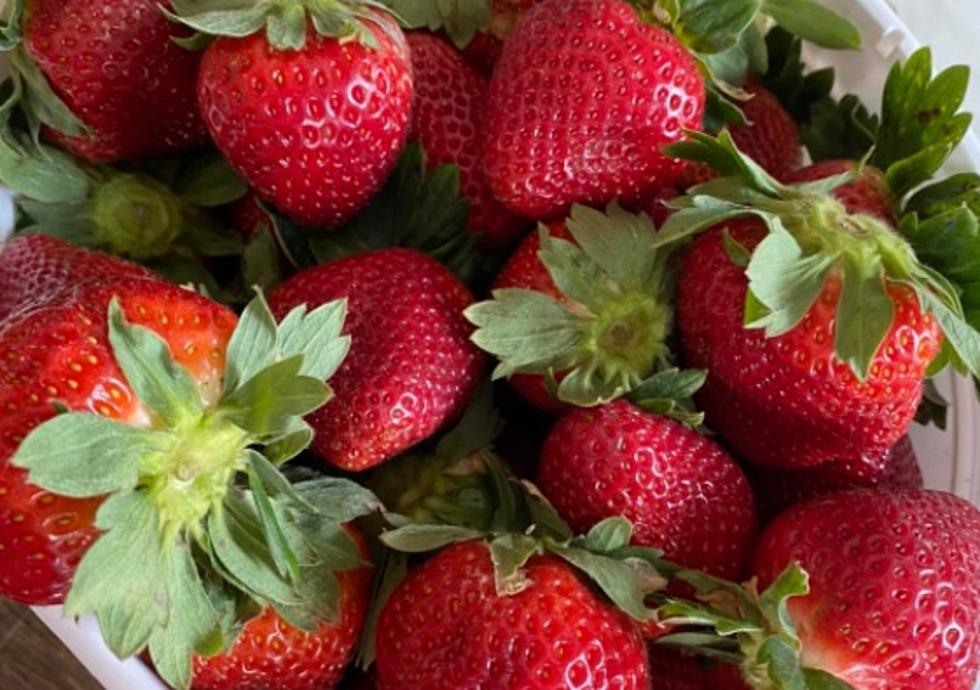 Take Your Entire Family Strawberry-Picking at Froberg Fruit & Vegetable Farm