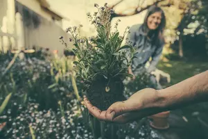My Favorite Way to Ward Off Anxiety&#8211;Garden Therapy