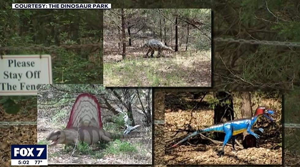 Stolen Cedar Creek Dinos Recovered at Texas University Frat House