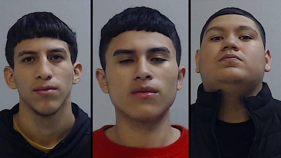Two Pharr, Texas Brothers are Being Applauded for Beating Stepfather to Death