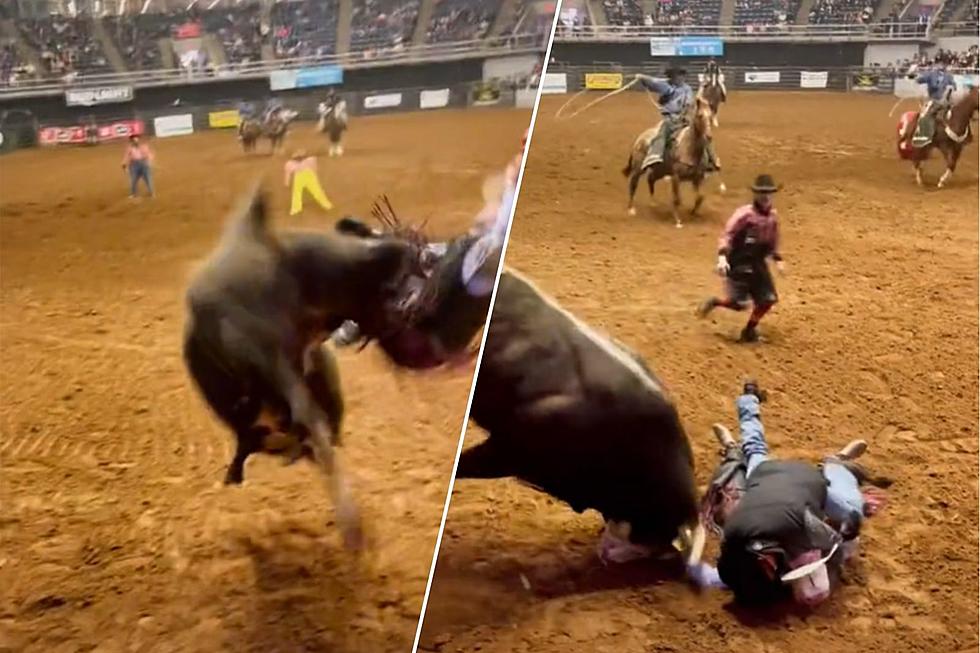 Bull Rider's Father Protected Son from Charging Bull at Tx Rodeo