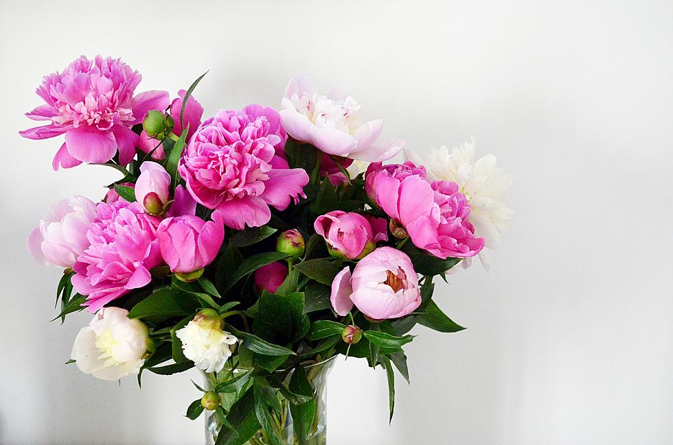 Ready for Valentine’s Day? Ten of the Very Best Florists in Tyler, Texas