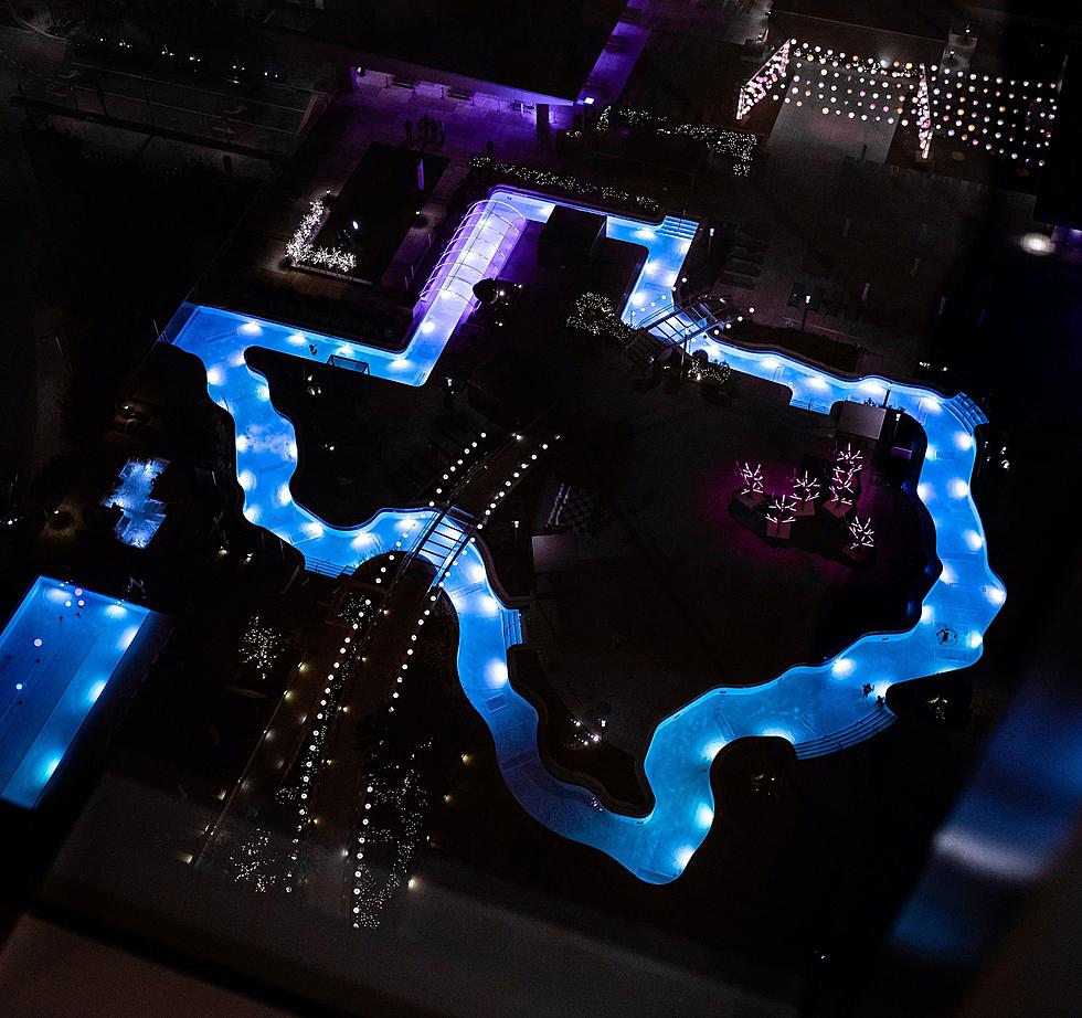 This Large Texas Shaped Pool in Houston, Texas Looks Heavenly