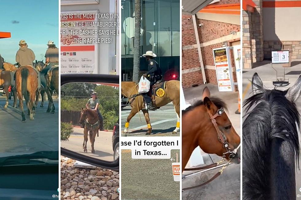 To No One’s Surprise Texas Folks Like to Pick Up Whataburger on their Horse