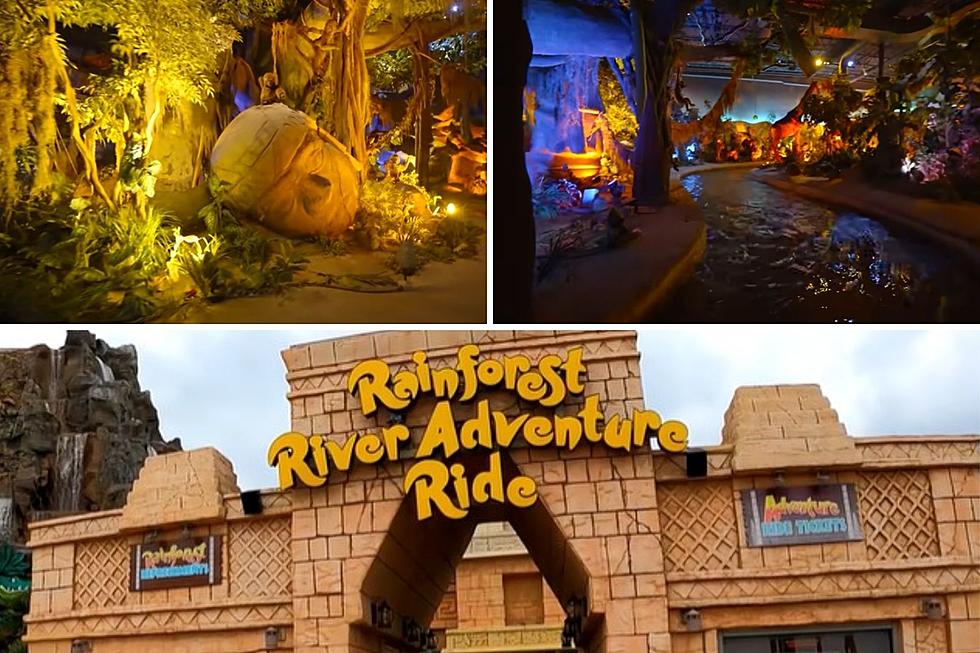 This Rainforest Café in Galveston, TX Is The One With A Full-Size Adventure Water Ride