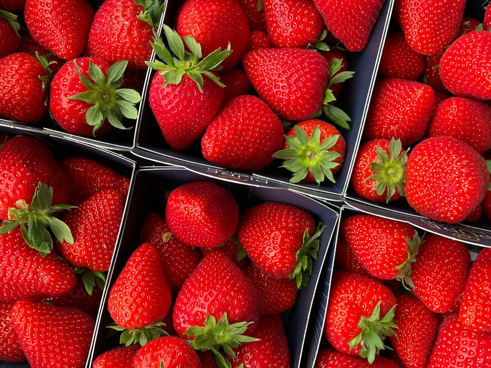 This Year’s Strawberry Season Here in East Texas ‘Shortest on Record’