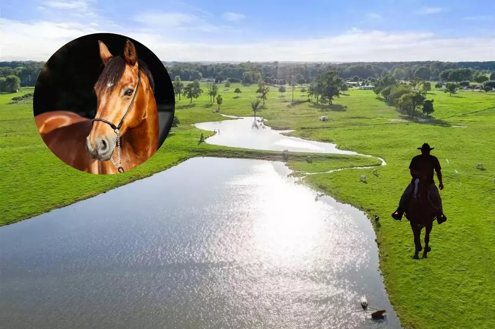 85 Acres: Ranching Dreams Come True on This Beautiful Mount Pleasant, TX Property