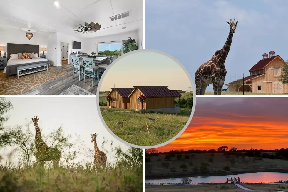 This Wonderful Giraffe Sanctuary &#038; Airbnb is Just 90 Minutes North of Austin