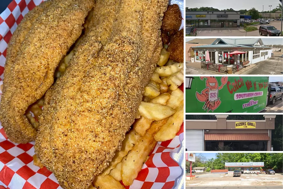 19 Recommendations for the Best Fried Fish in Tyler, Texas