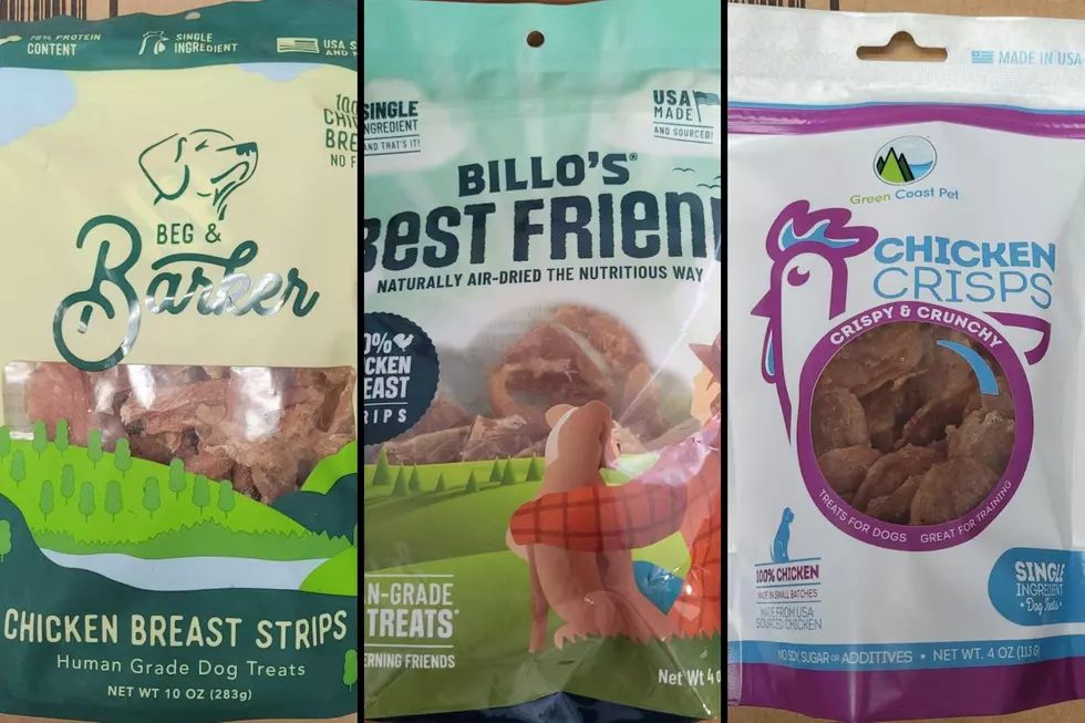 Dog Treats Linked to Salmonella, Trying to Keep ETX Dogs Safe