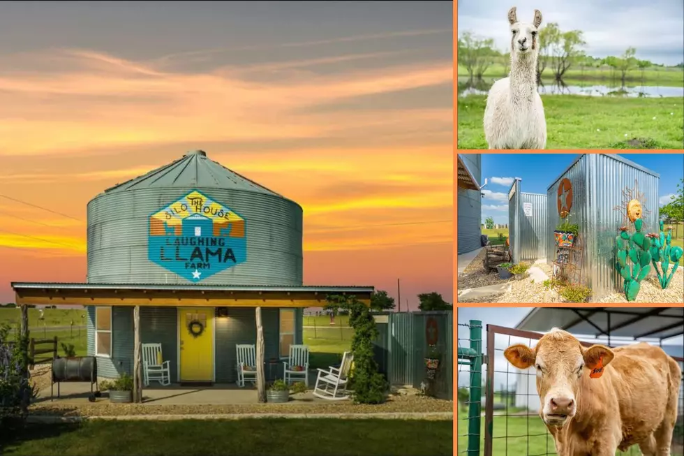 Almost a Perfect Rating for The Silo House Airbnb in Troy, Texas