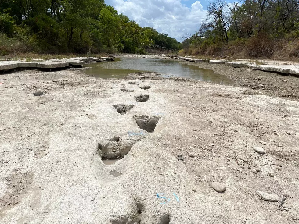 Thanks to ’22 Drought, Huge Dinosaur Tracks Appear in the Paluxy River 3 Hours From Tyler, TX