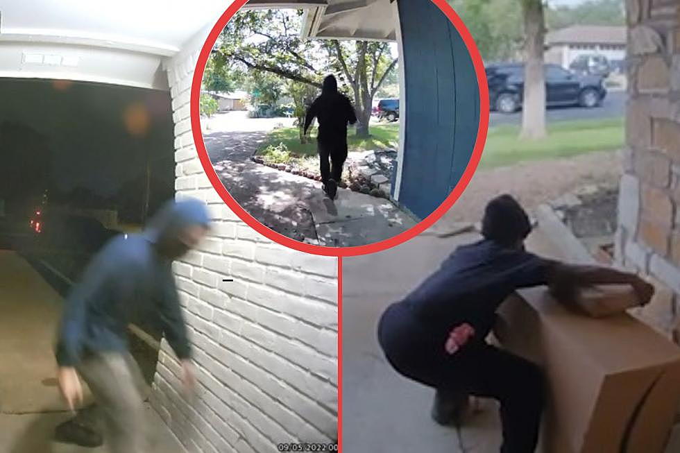 One Tricked Austin Porch Pirate Retaliates with Dirty Diapers &#038; Cow Manure, WTF!