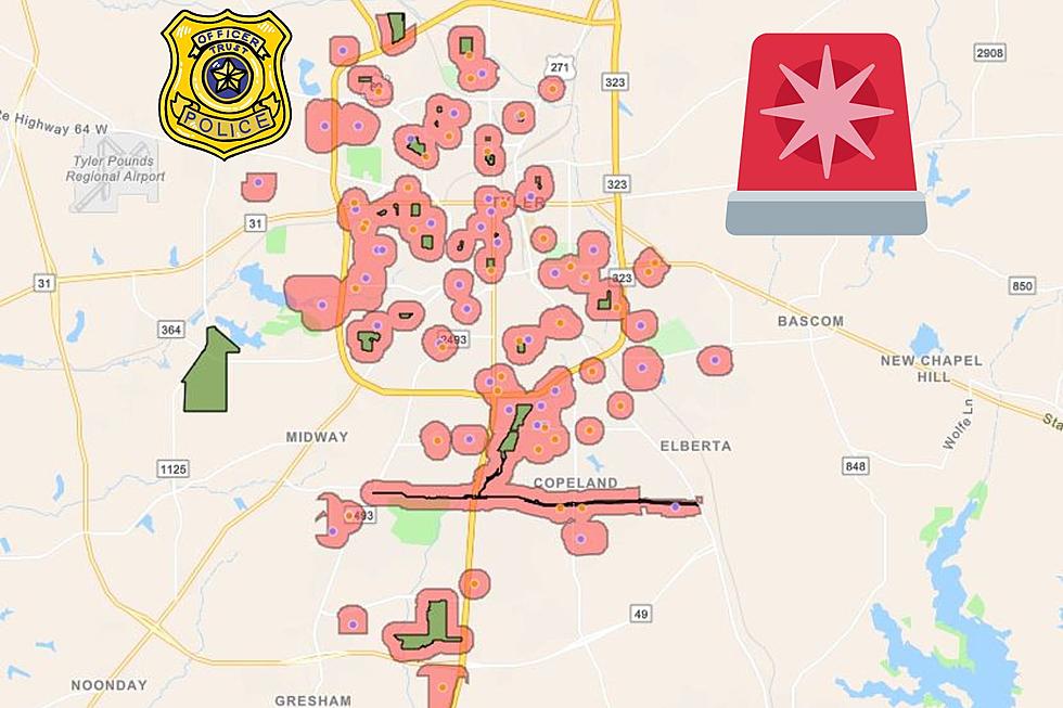 Avoid These Houses, Look at the Sex Offender Map for Tyler, Texas