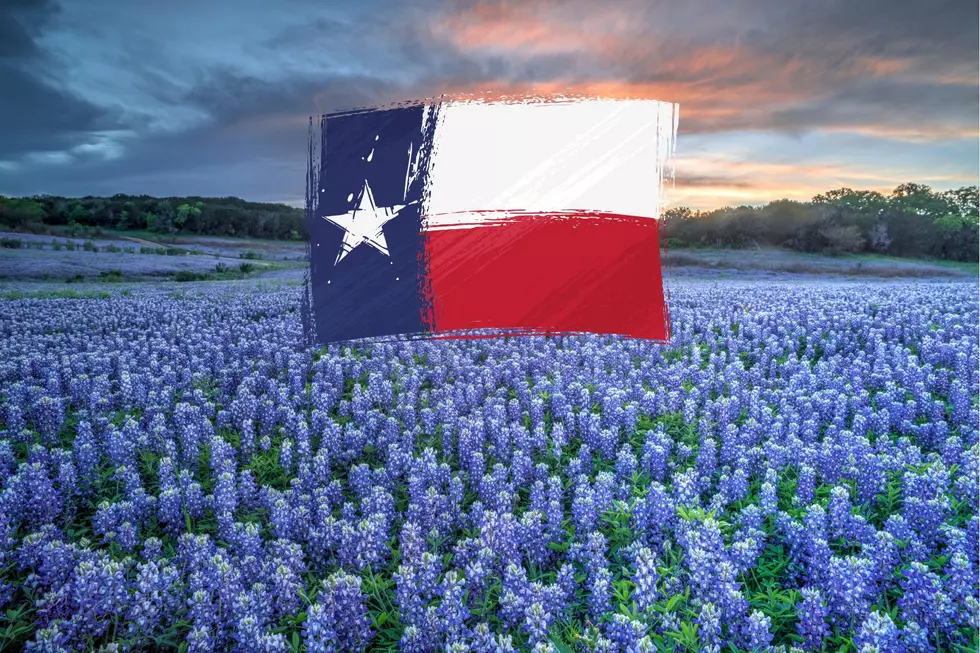 Best Places to See Beautiful Bluebonnets in Texas in 2023