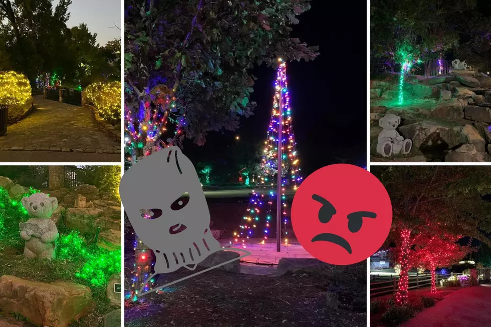 Children's Park of Tyler Christmas Lights Stolen From Again