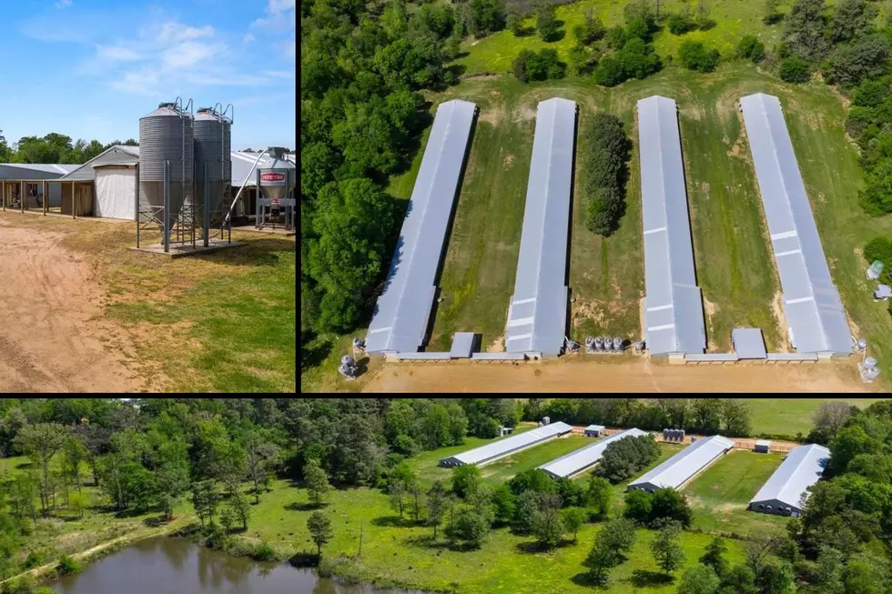 Here’s Your Chance to Buy a Turnkey Poultry Farm in Gilmer, TX