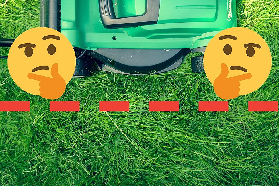 Mowing Part Your Neighbor's Yard in Texas Could Get into Trouble