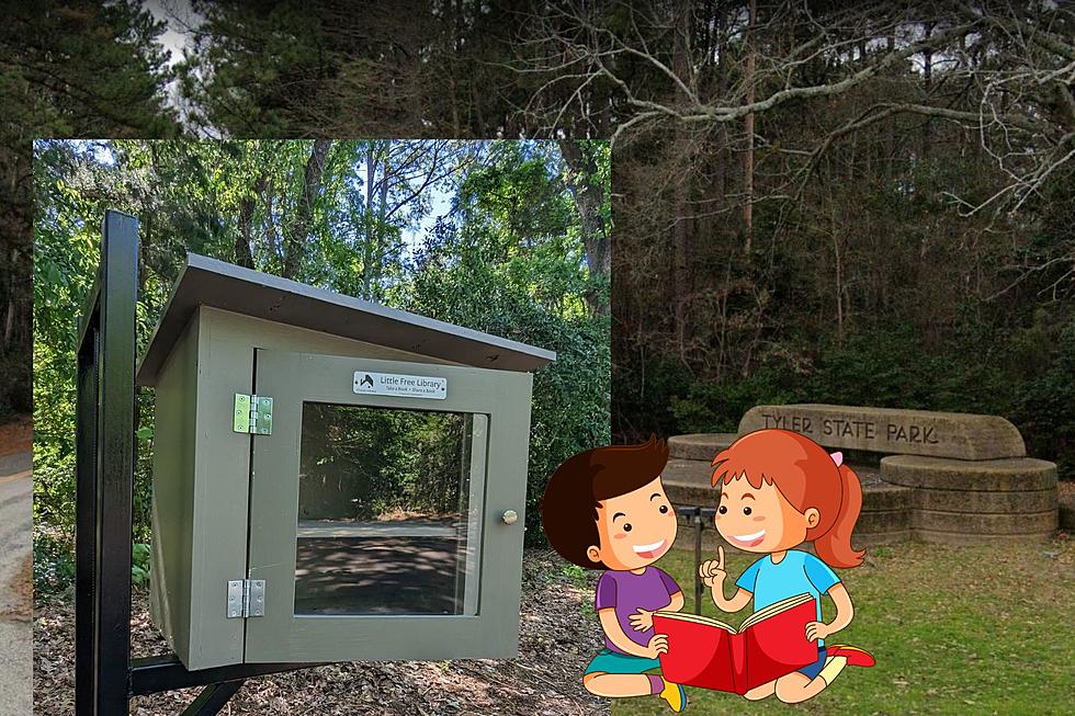 New Little Free Library Installed at Tyler State Park in Tyler, Texas