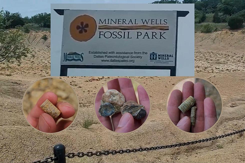 Add Digging for Fossils in Mineral Wells to Your Summer Adventure