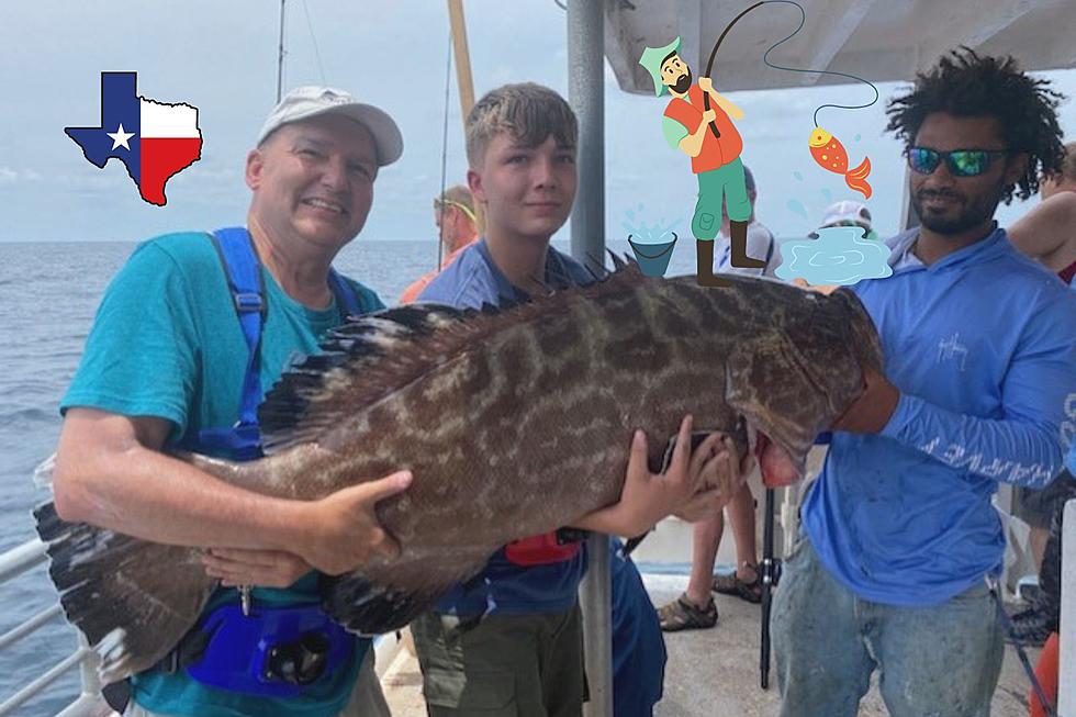 Dad and Son Catch a Record 76 lbs. Grouper on Father’s Day in Texas